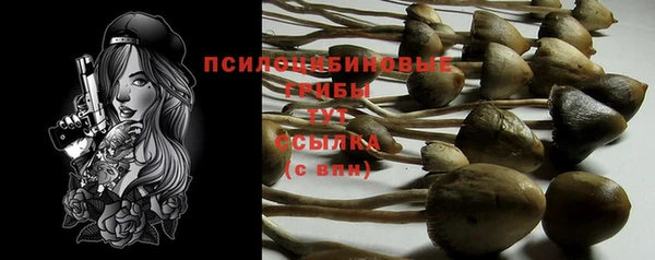 бутират Алзамай