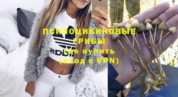 бутират Алзамай