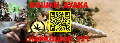 молекула духа Пугачёв