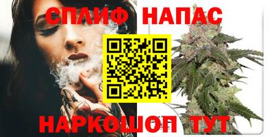 молекула духа Пугачёв